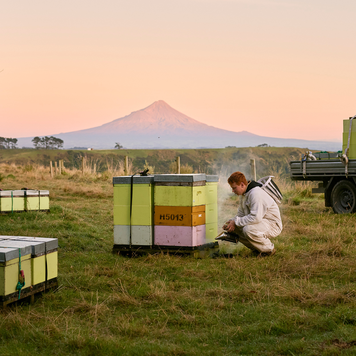 How to use Mānuka Honey - Egmont Honey NZ