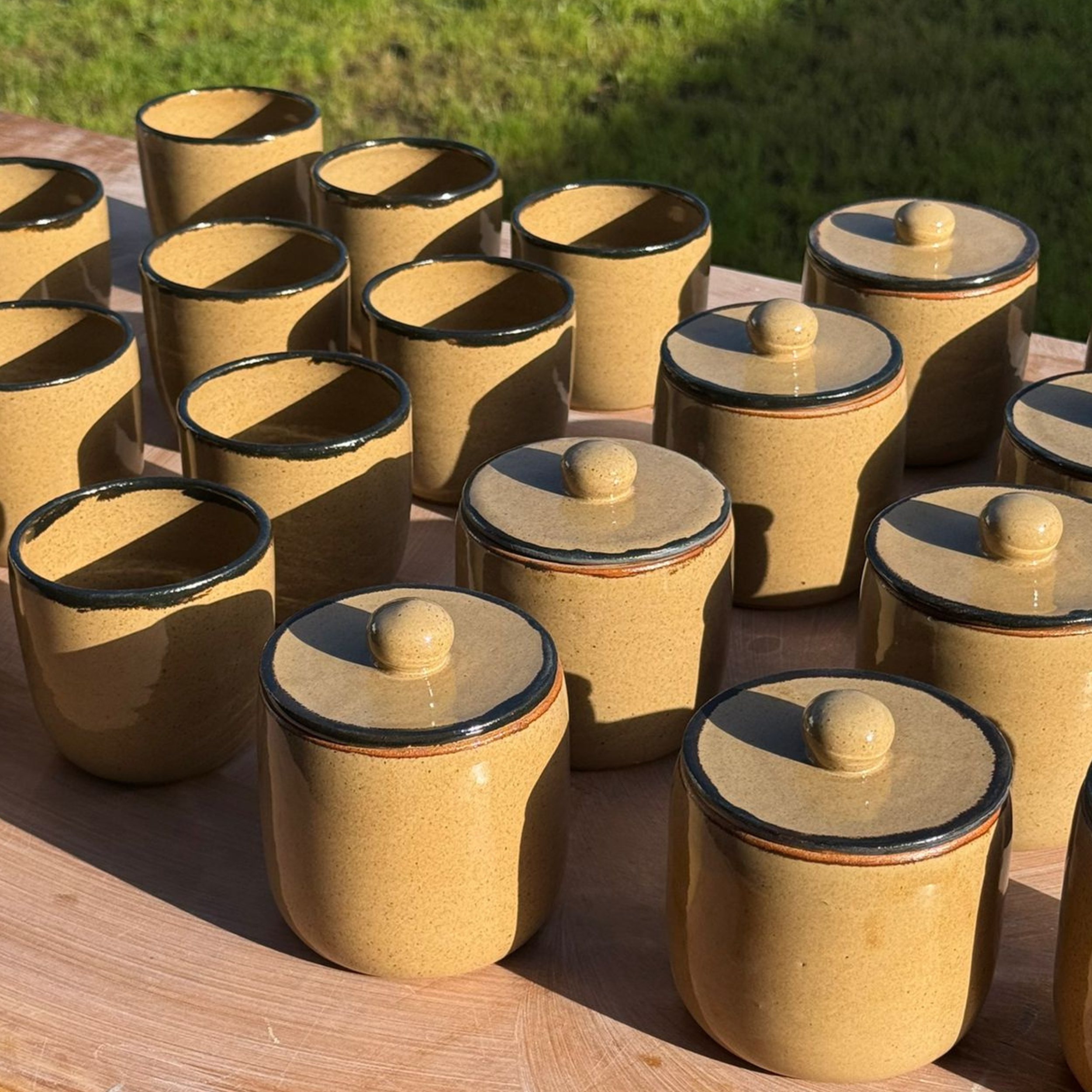 Egmont Honey × Biddy Pots: Limited Edition HoneyPot