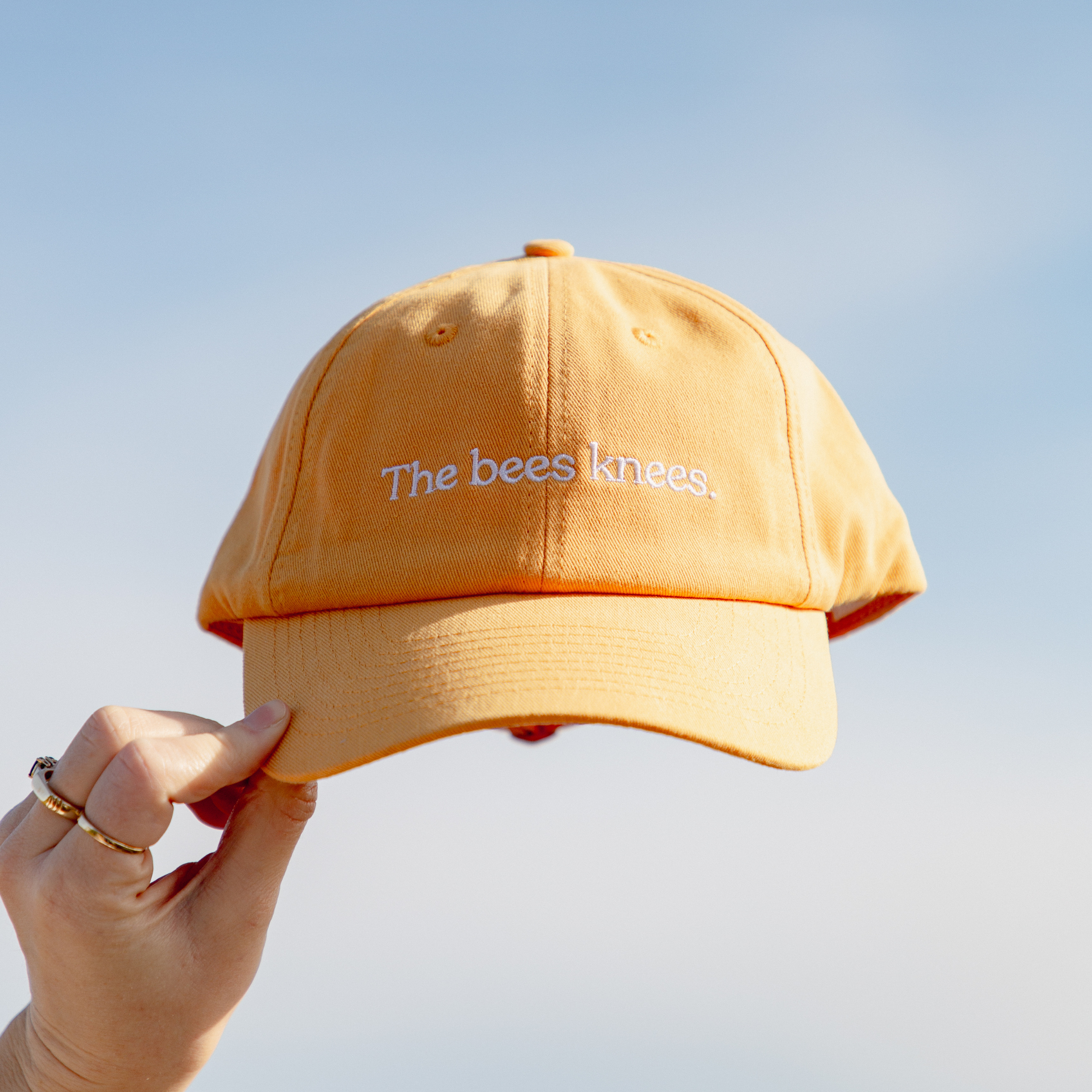 Egmont Honey Merch | The Bees Knees Cap